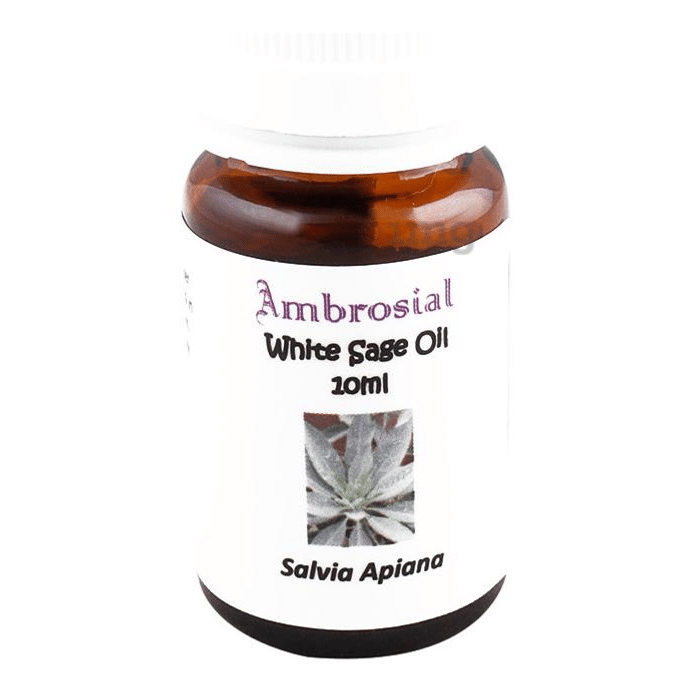 Ambrosial White Sage Essential Oil
