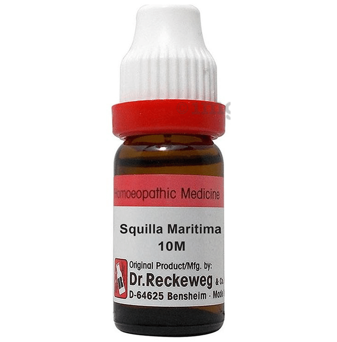 Dr. Reckeweg Squilla Maritima Dilution 10M CH