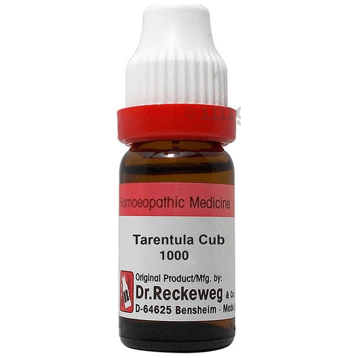 Dr. Reckeweg Tarentula Cub Dilution 1000 CH