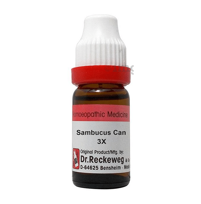 Dr. Reckeweg Sambucus Can Dilution 3X