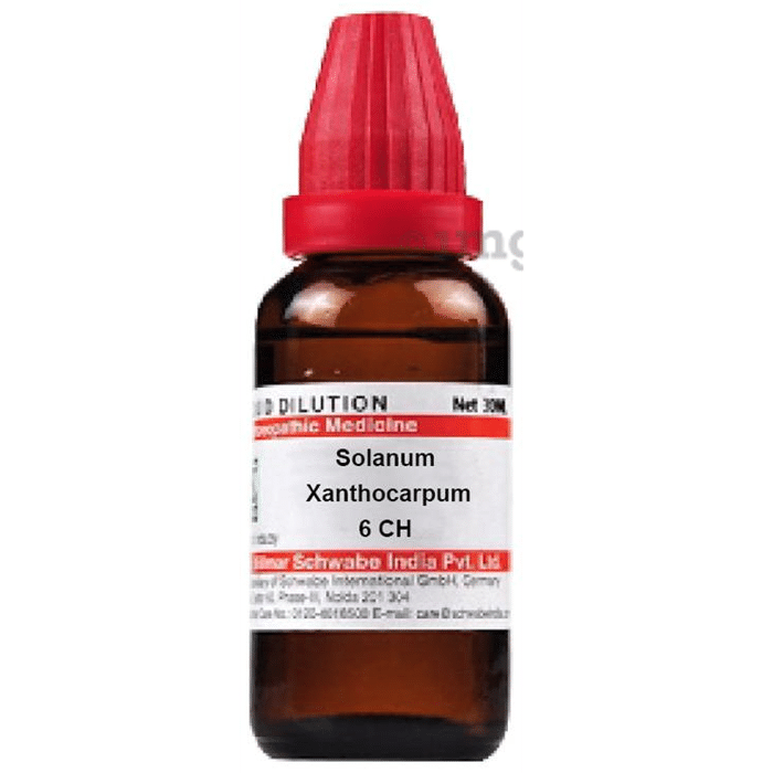 Dr Willmar Schwabe India Solanum Xanthocarpum Dilution 6 CH