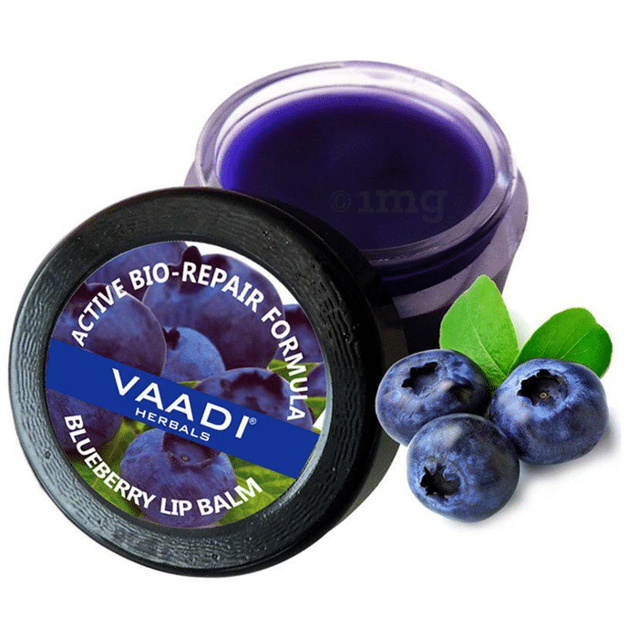 Vaadi Herbals Value Pack of 4 Lip Balm Blueberry