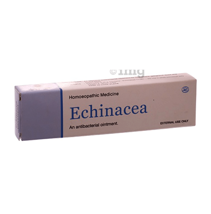 Lord's Echinacea Ointment