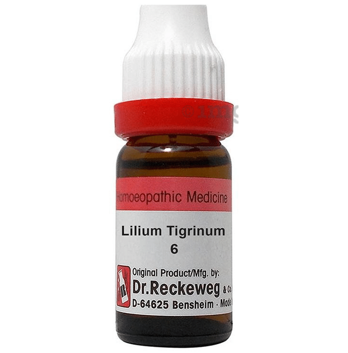 Dr. Reckeweg Lilium Tigrinum Dilution 6 CH