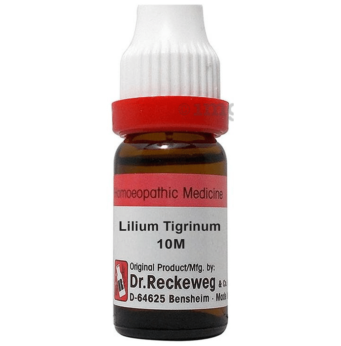 Dr. Reckeweg Lilium Tigrinum Dilution 10M CH