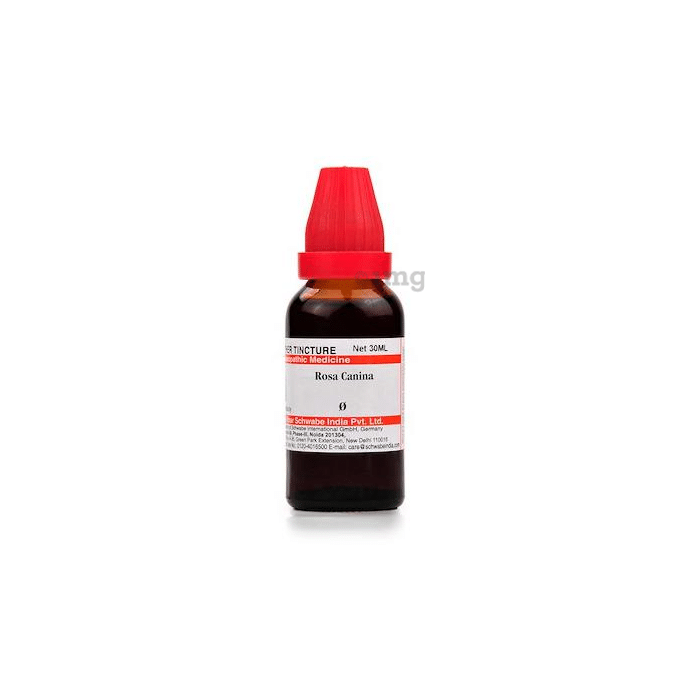 Dr Willmar Schwabe India Rosa Canina Mother Tincture Q