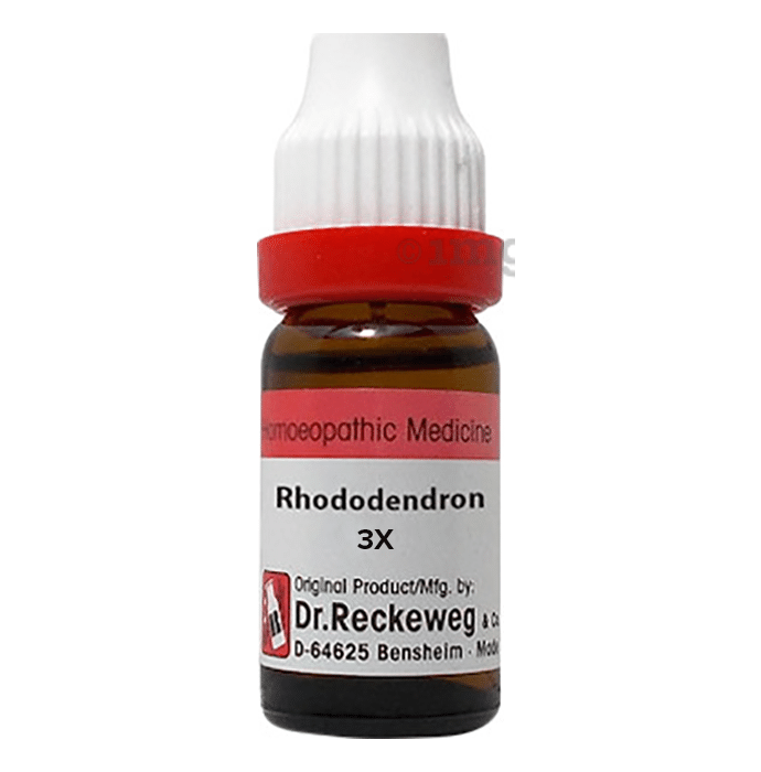 Dr. Reckeweg Rhododendron Dilution 3X