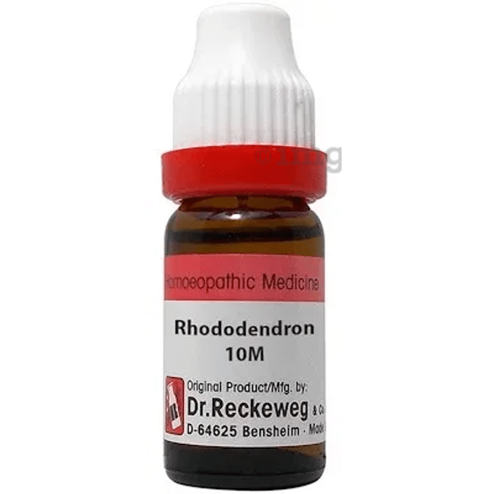 Dr. Reckeweg Rhododendron Dilution 10M CH