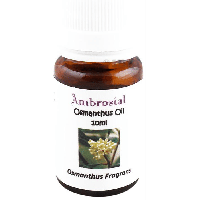 Ambrosial Osmanthus Essential Oil
