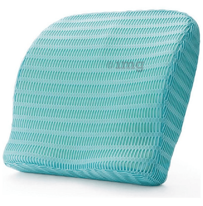HealthSense BC 21 Backrest Cushion with Memory Foam Ice Blue