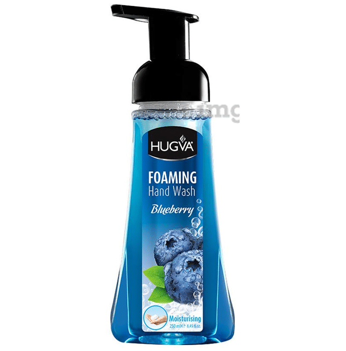 Hugva Blueberry Foaming Hand Wash