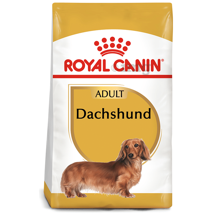 Royal Canin Dachshund Pet Food Adult