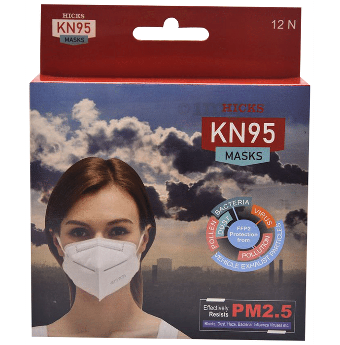 Hicks N 95 Air Pollution Mask Black