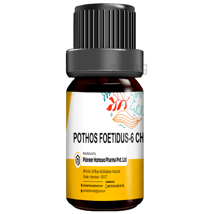 Pioneer Pharma Pothos Foetidus Globules Pellet Multidose Pills 6 CH