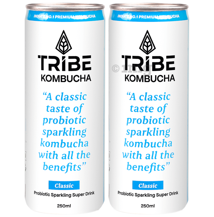 Tribe Kombucha Probiotic Sparkling Super Drink (250ml Each) Classic