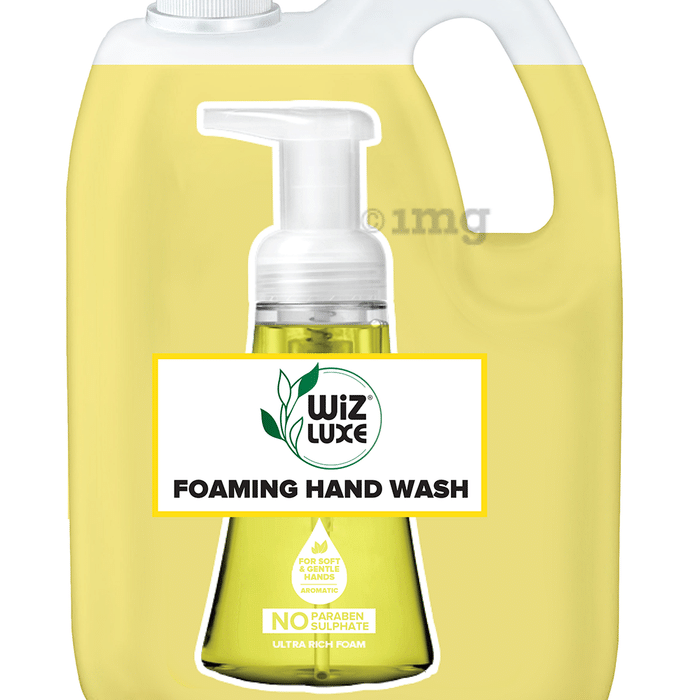 Wiz Luxe Foaming Hand Wash Refill Pack (5L Each) Mango Malta
