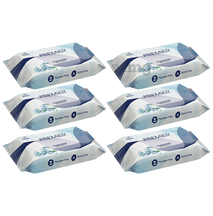 Premier Tissues Wet Wipes (10 Each) Ice Mint
