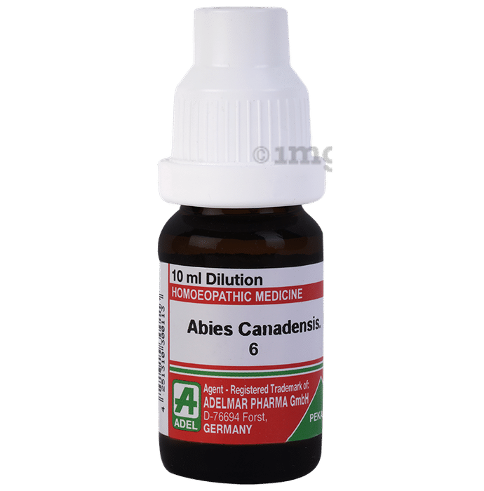 ADEL Abies Canadensis. Dilution 6