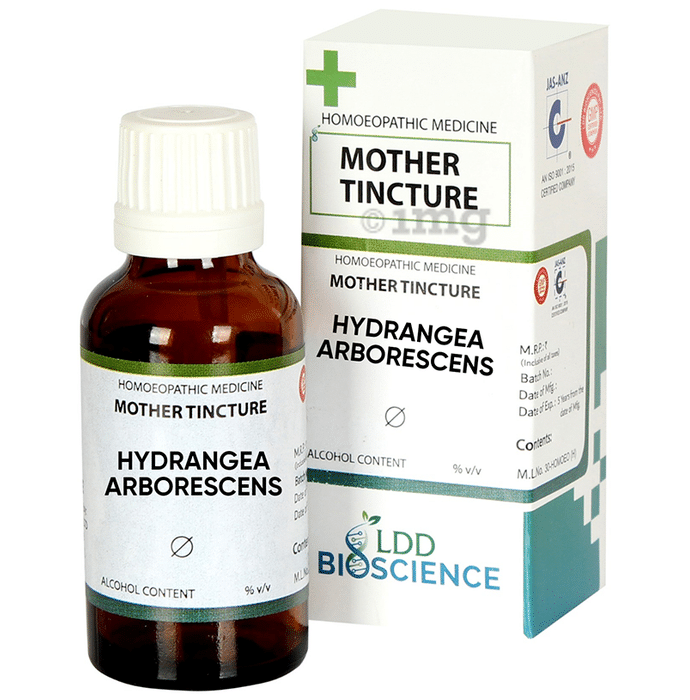 LDD Bioscience Hydrangea Arborescens Mother Tincture Q