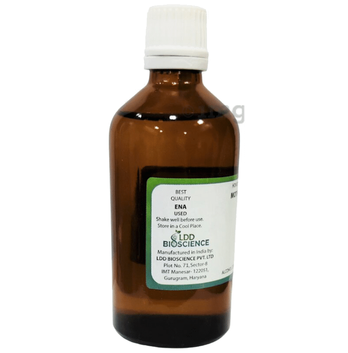 LDD Bioscience Amloki Mother Tincture Q: Buy bottle of 100 ml Mother  Tincture at best price in India | 1mg