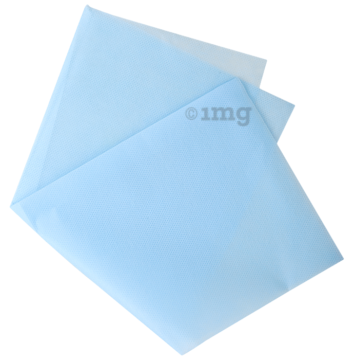 Fairbizps Dental Bib