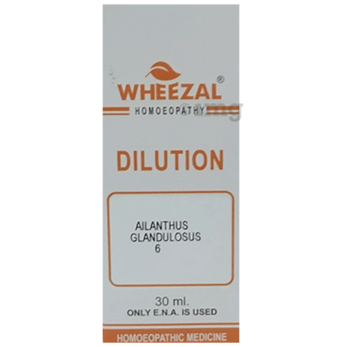 Wheezal Ailanthus G. Dilution 6