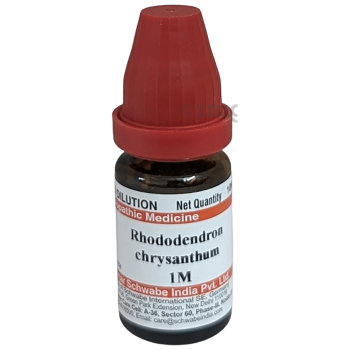 Dr Willmar Schwabe India Rhododendron Chrysanthum Dilution 1M