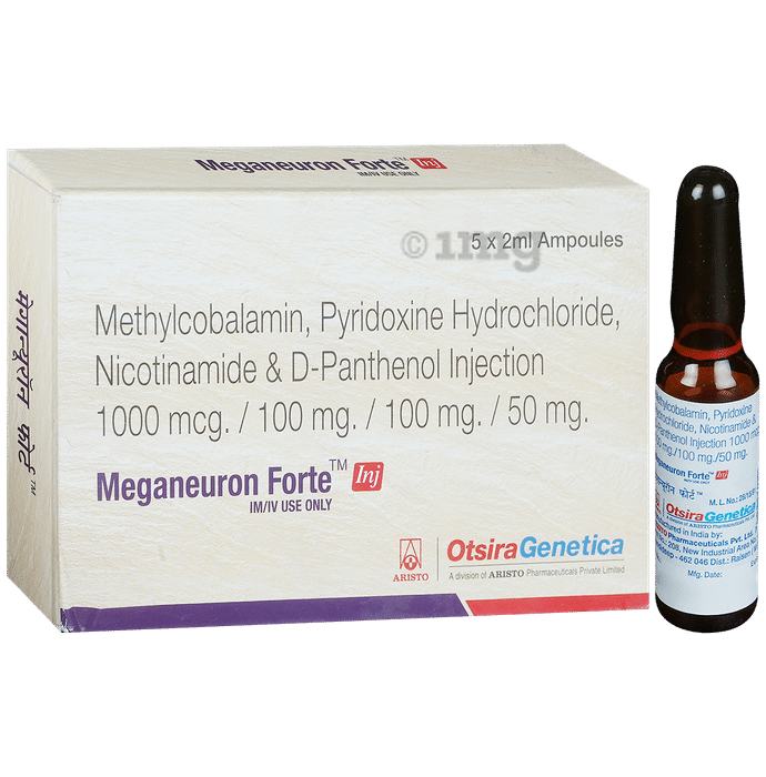 Meganeuron Forte Injection