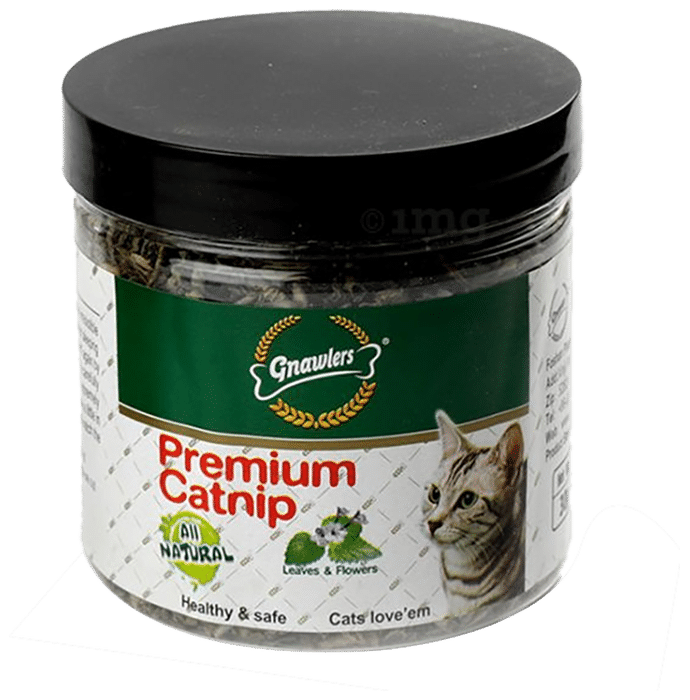 Gnawlers Premium Catnip for Cat