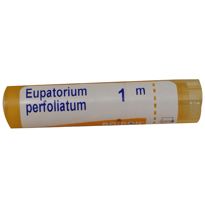 Boiron Eupatorium Perfoliatum Pellets 1M