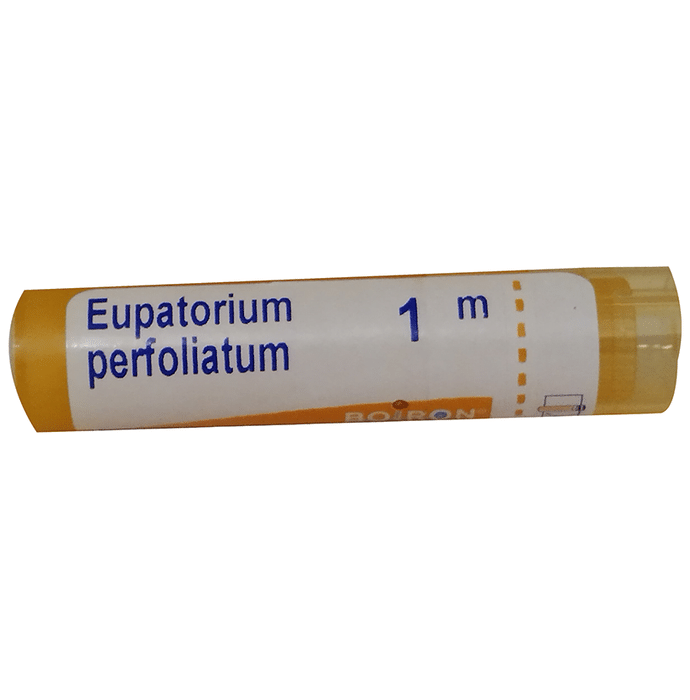 Boiron Eupatorium Perfoliatum Pellets 1M