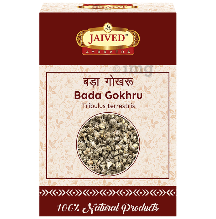 Jaived Ayurveda Bada Gokhru | Boosts Stamina, Enhances Muscle Strength, & Physical