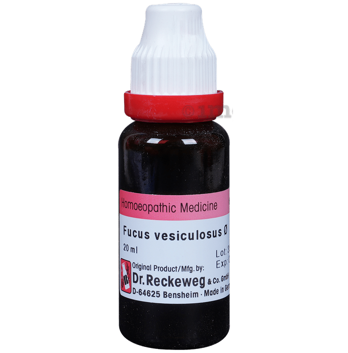 Dr. Reckeweg Fucus Vesic Mother Tincture Q