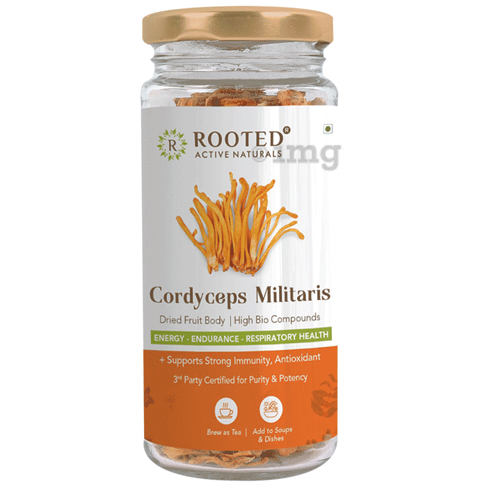 Rooted Active Naturals Cordyceps Militaris Dried Fruit Body