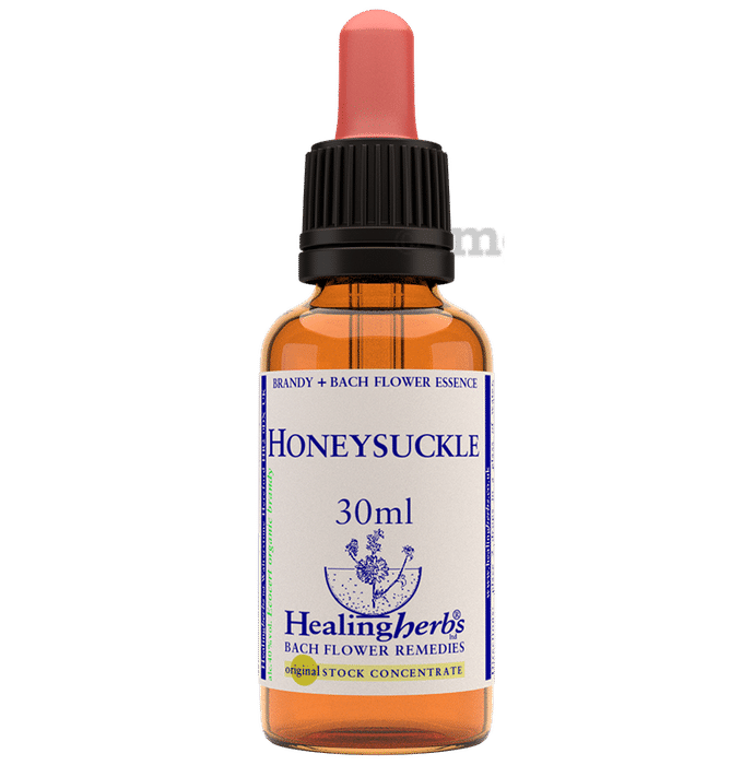 Healing Herbs Bach Flower Honeysuckle