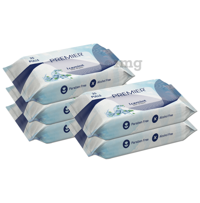 Premier Tissues Wet Wipe (25 Each) Ice Mint