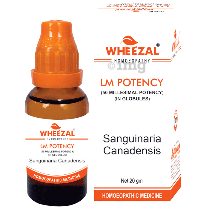 Wheezal Sanguinaria Canadensis Globules 0/27 LM