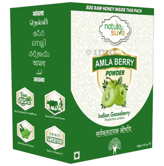 Nature Sure Amla Berry Powder with 50gm Raw Honey