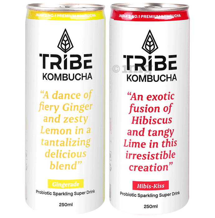 Tribe Kombucha Combo Pack of Probiotic Sparkling Super Drink Ginerade & Hibis-Kiss (250ml Each)