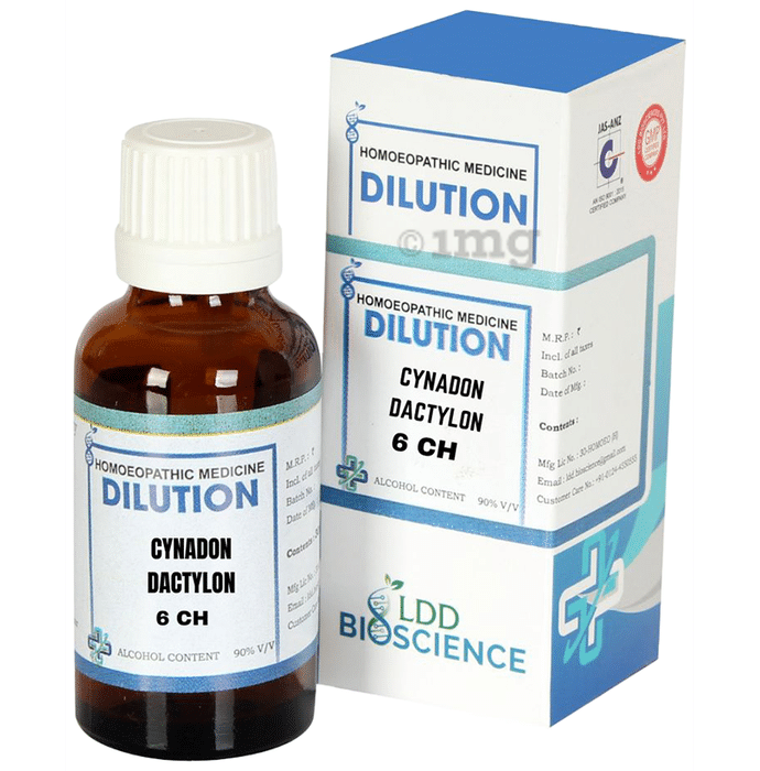 LDD Bioscience Cynadon Dactylon Dilution 6 CH