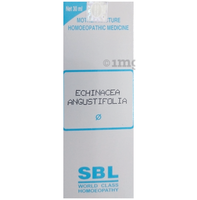 SBL Echinacea Angustrifolia Mother Tincture Q
