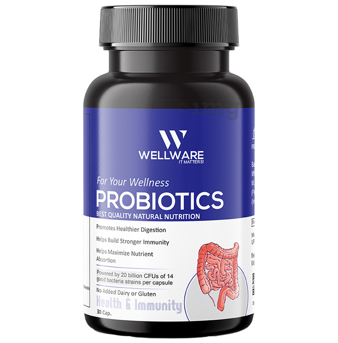 Wellware It Matters For Your Wellness Probiotics Capsule