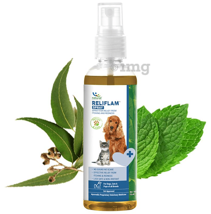 Natural Remedies Reliflam Spray for Relief From Itching and Redness