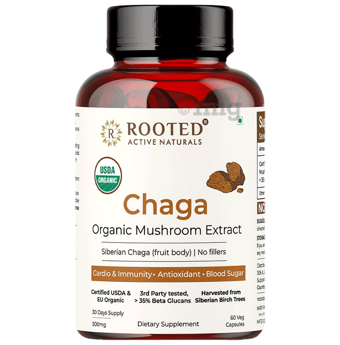 Rooted Active Naturals Chaga Organic Mushroom Extract Capsule