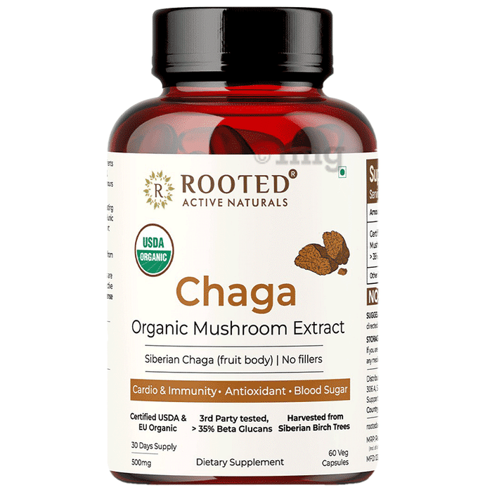 Rooted Active Naturals Chaga Organic Mushroom Extract Capsule