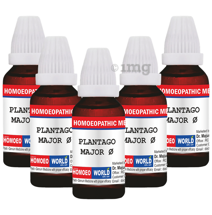 Dr. Majumder Homeo World Plantago Major Mother Tincture (30ml Each) Q