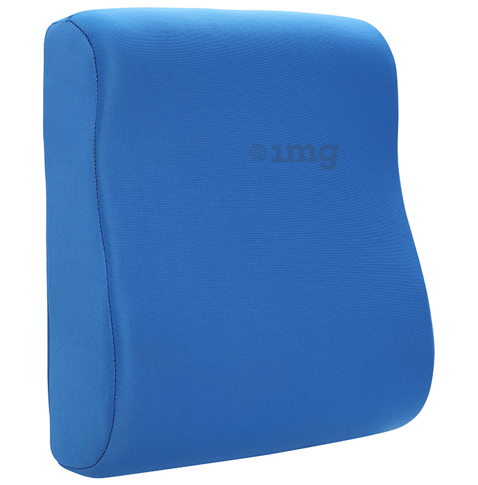 Renewa Travel Pillow with Memory Foam