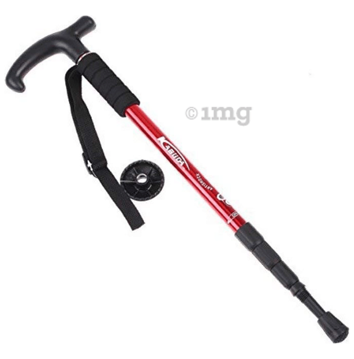 Isha Surgical Trekking Hiking Camping & Climbing Stick with Handle