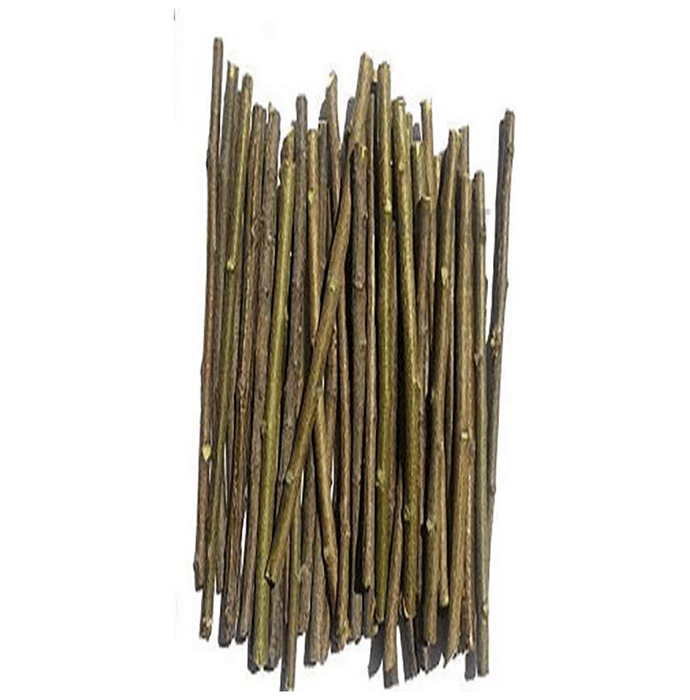 Azamdeal Neem Daatun Buy packet of 50.0 gm Pack at best price in