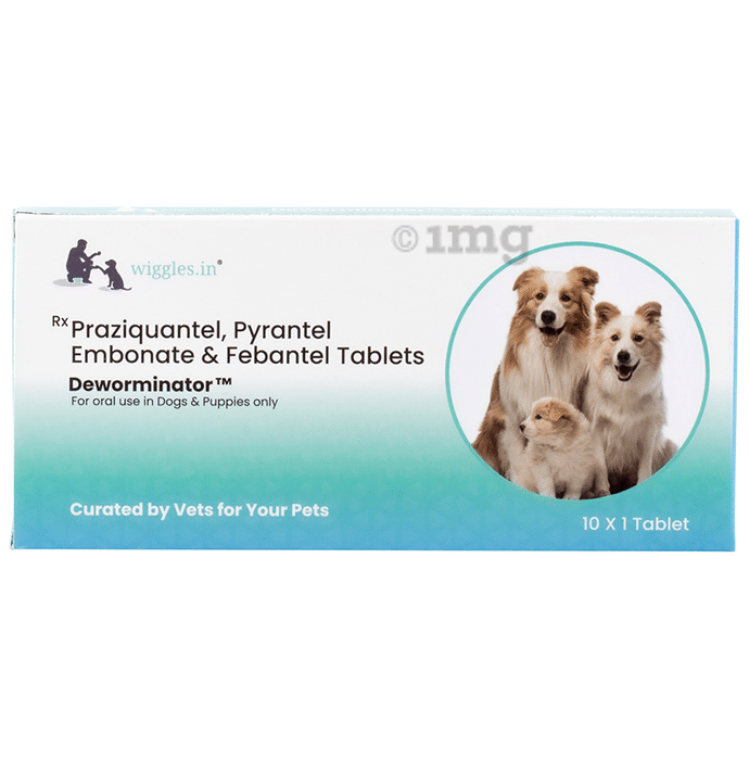 Wiggles Deworminator Tablet for Protection from Roundworm, Hookworm, Tapeworm & Whipworm | For Dogs & Puppies
